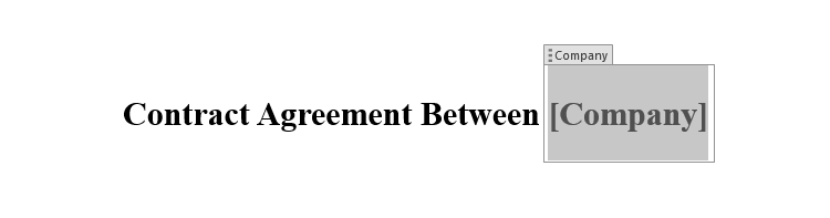 A Microsoft Word document with the Company document property added to the title.