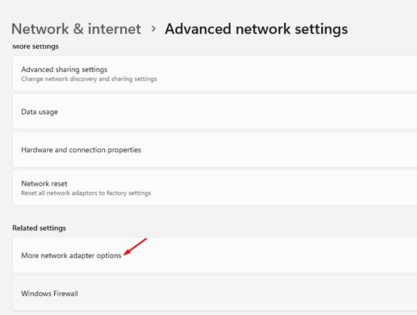 More Network Adapter Options