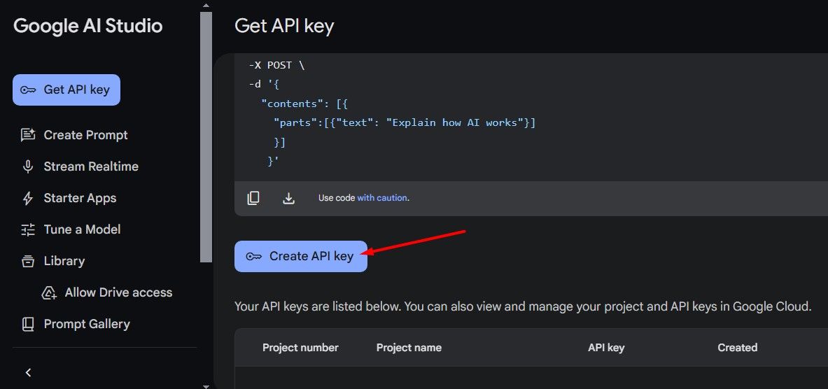 Create API Key button on the Google AI Studio page.