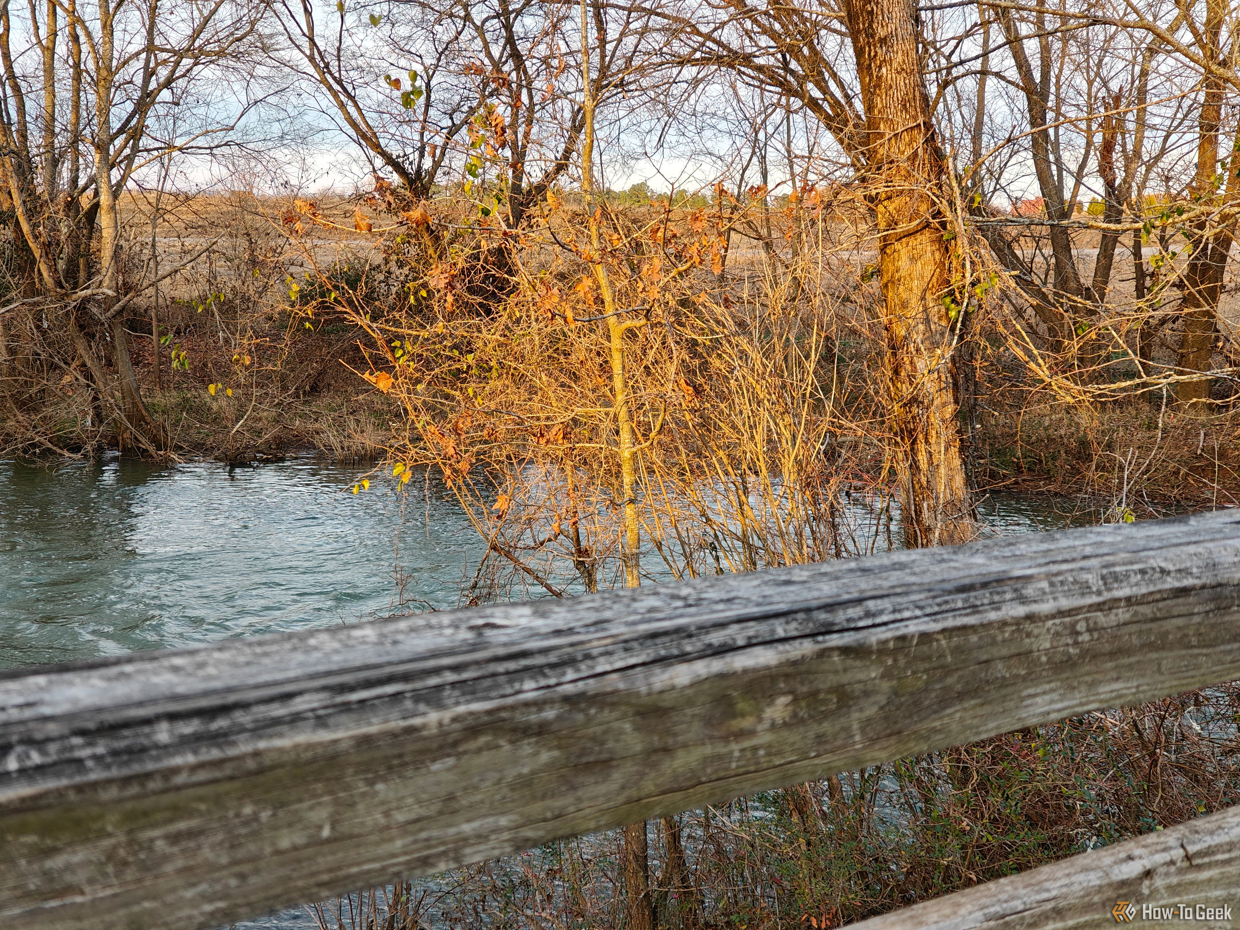 A photo of trees near a river with a bridge's hand rail in the foreground.