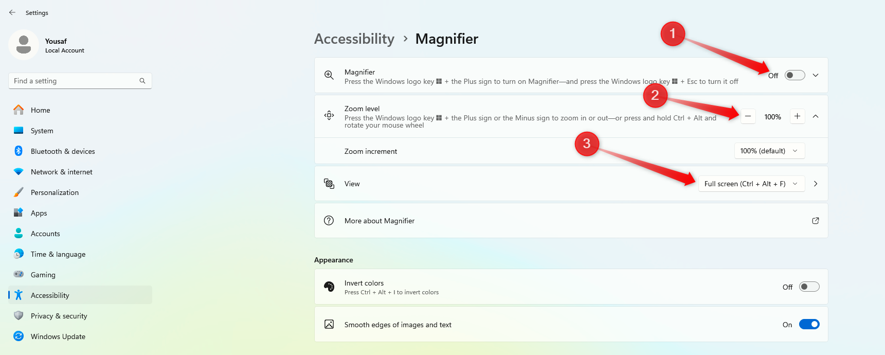 Enabling Magnifier and modifying the view options and zoom percentage in Windows.