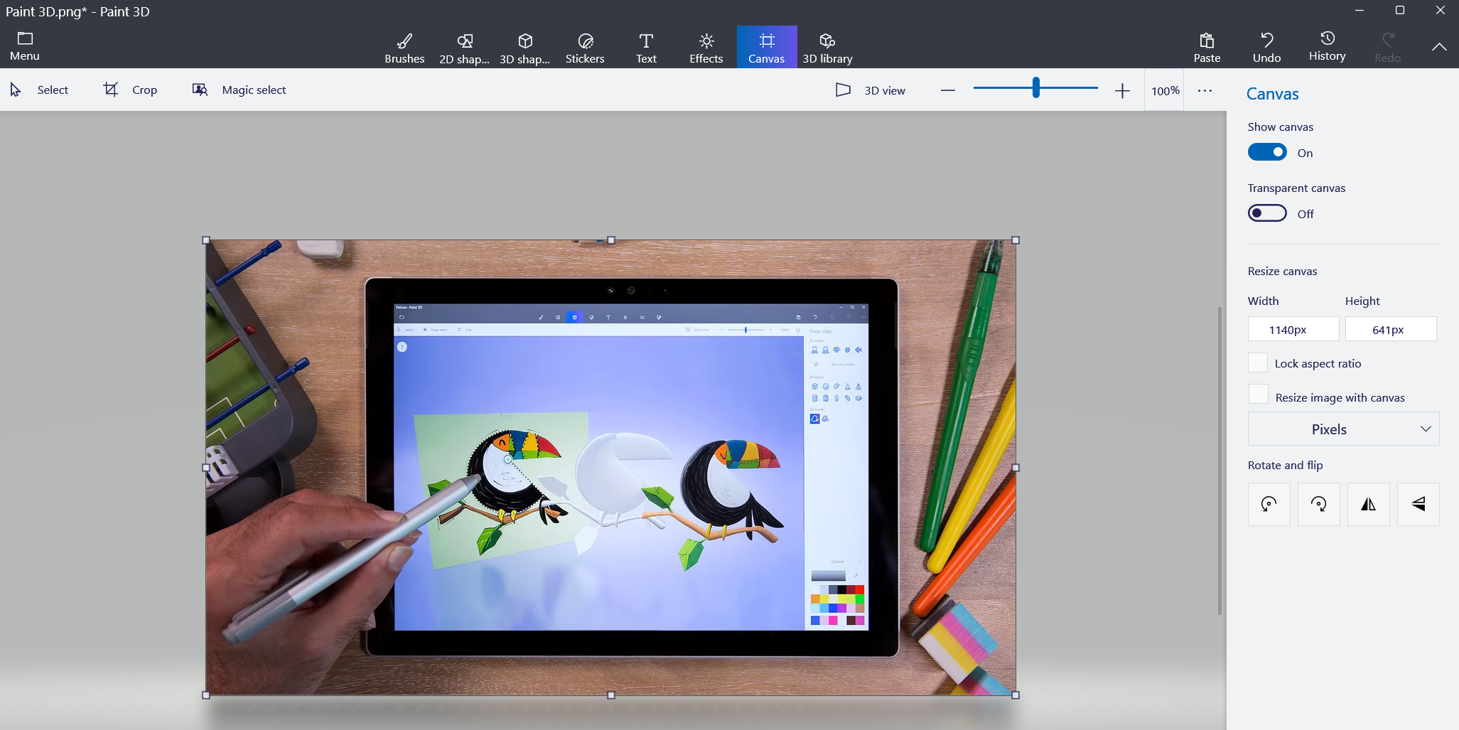 Paint 3D Canvas tab.