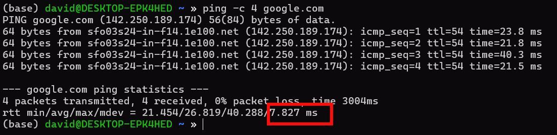 Ping standard deviation from google.com highlighted in a red box.