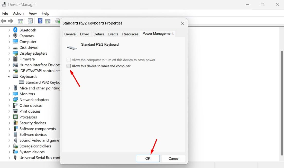 Power Management tab in the Device Manager.