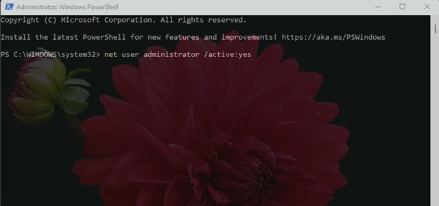 net user administrator /active:yes