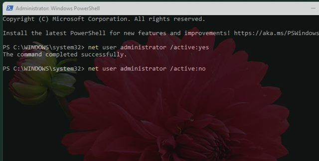 net user administrator /active:no