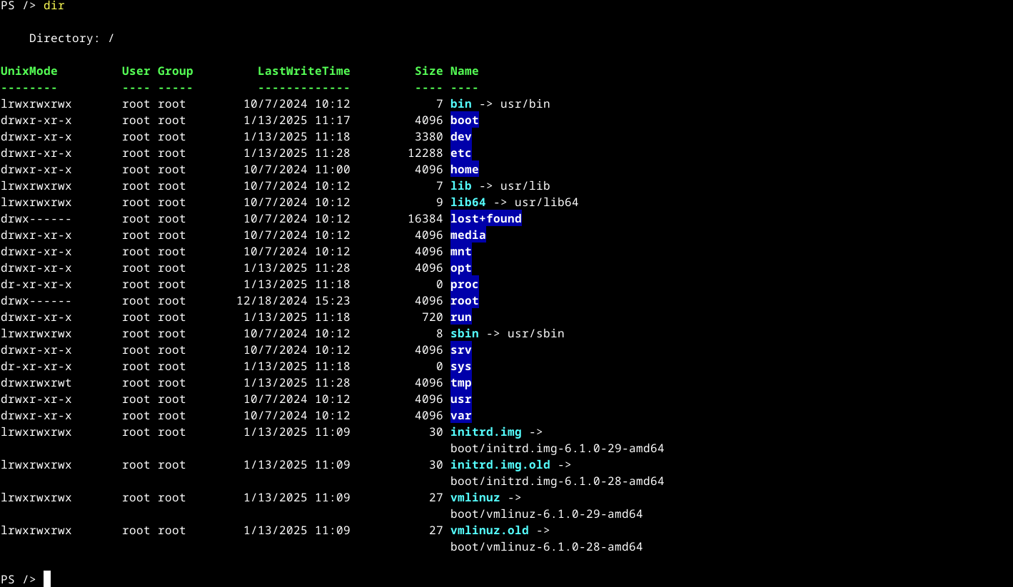 Powershell directory listing on Linux with dir command.