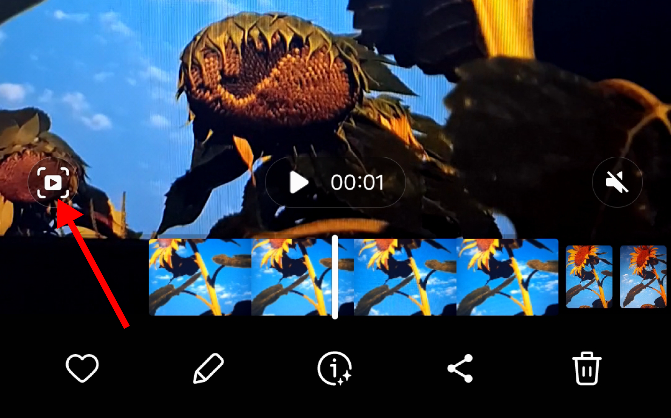 The Quick Crop button in the Motion Photo.