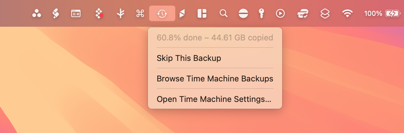 macOS' "Skip This Backup" option.