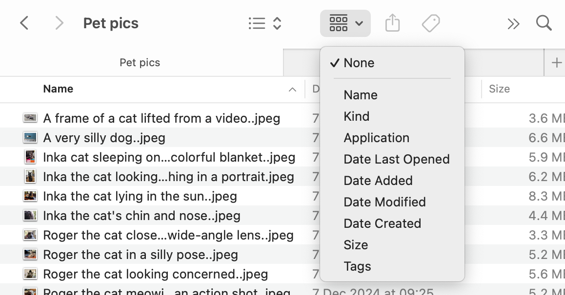 Different grouping options in macOS Finder.