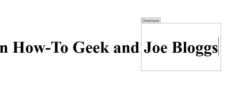 The content of a text field labeled 'Employee' has been changed to 'Joe Bloggs'.