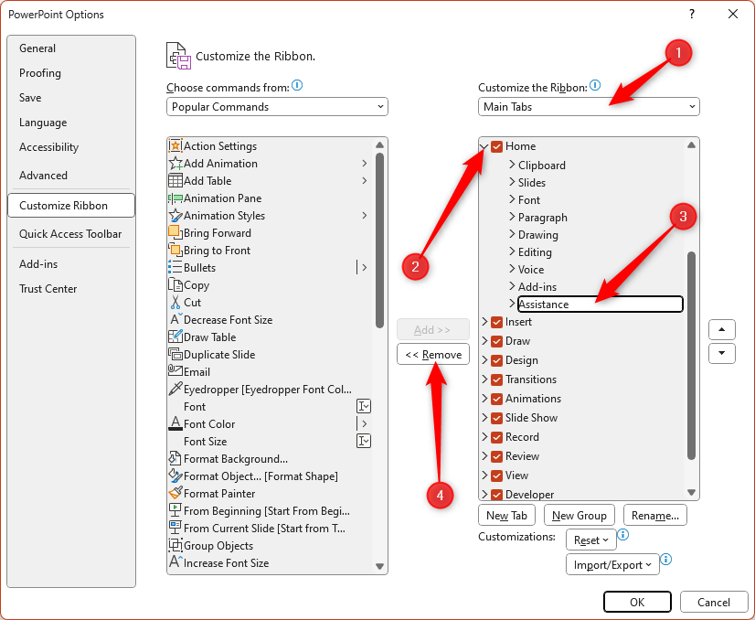 The PowerPoint Options dialog box, with the Assistance group of the Home tab selected, and the Remove button highlighted.