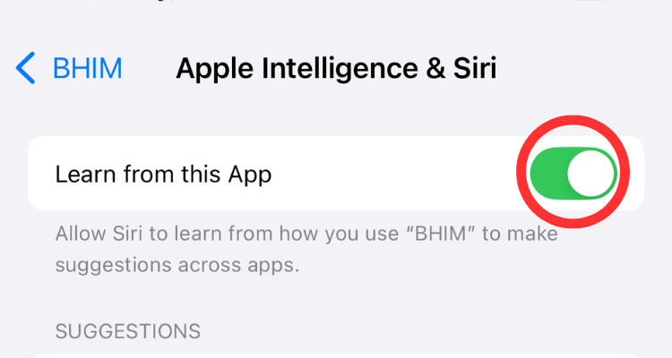 Screenshot of the Learn from this App option in the Apple Intelligence & Siri menu.