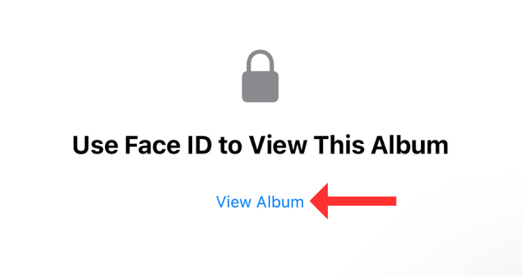 Screenshot of the View Album button in Photos app.