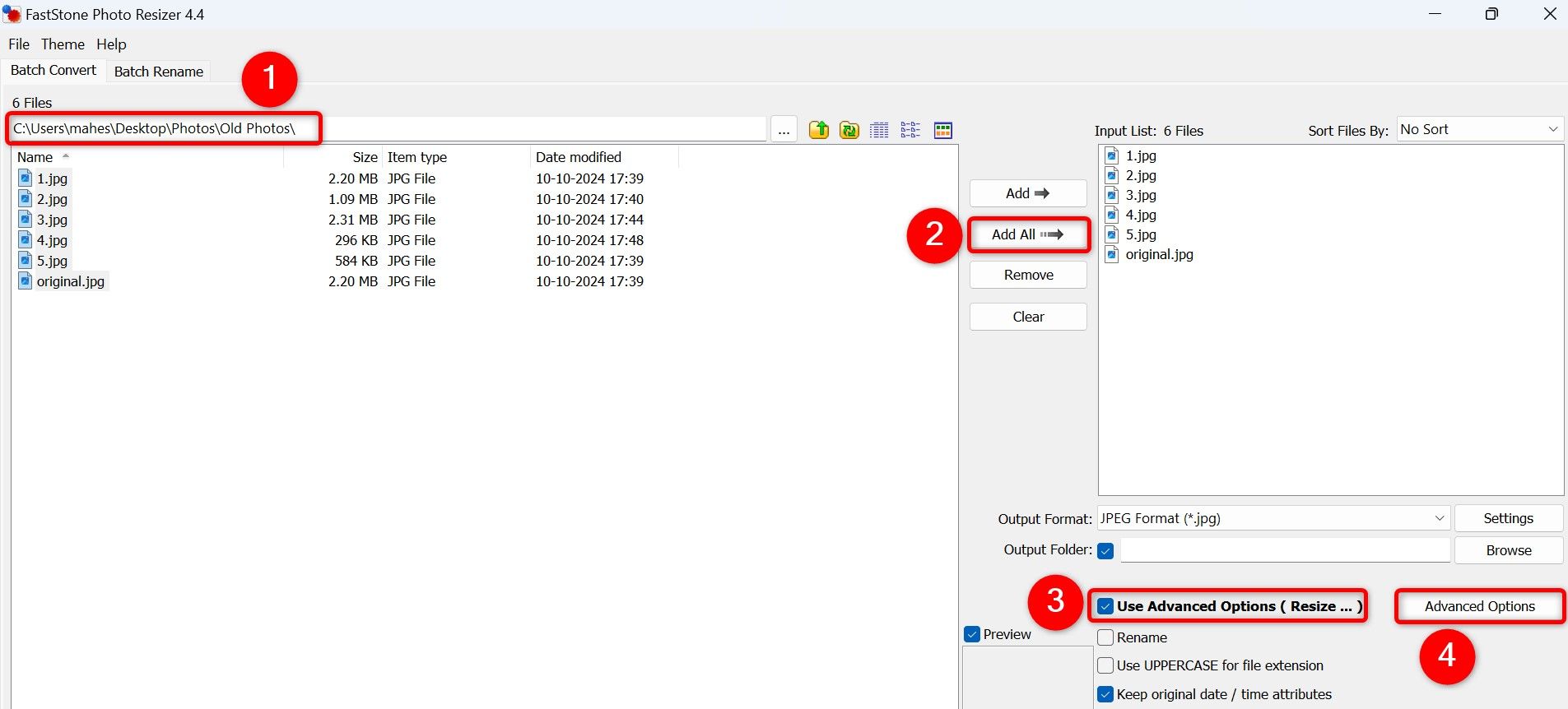 Various options highlighted on FastStone Photo Resizer's main interface.