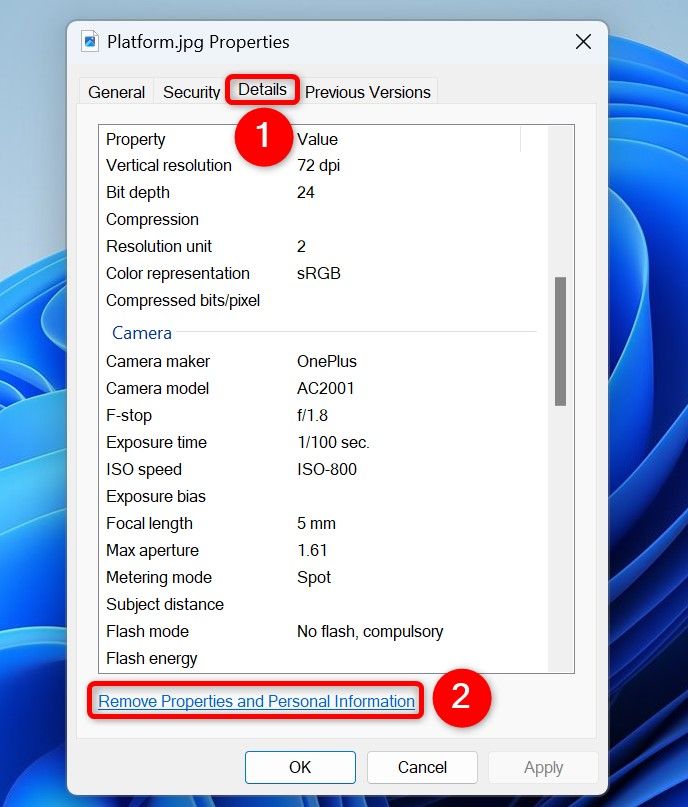 "Details" and "Remove Properties and Personal Information" highlighted on a photo's "Properties" window.