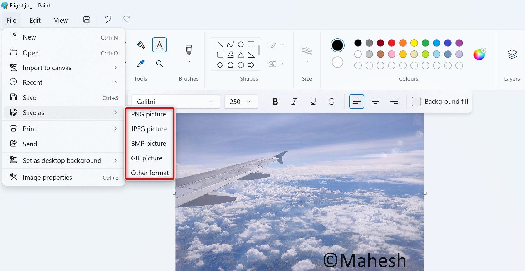 Various image formats highlighted in Paint's File > Save As menu.