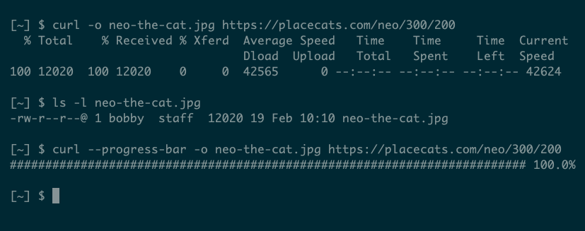 Output from curl showing two forms of file download, the latter with a simple one-line progress bar.