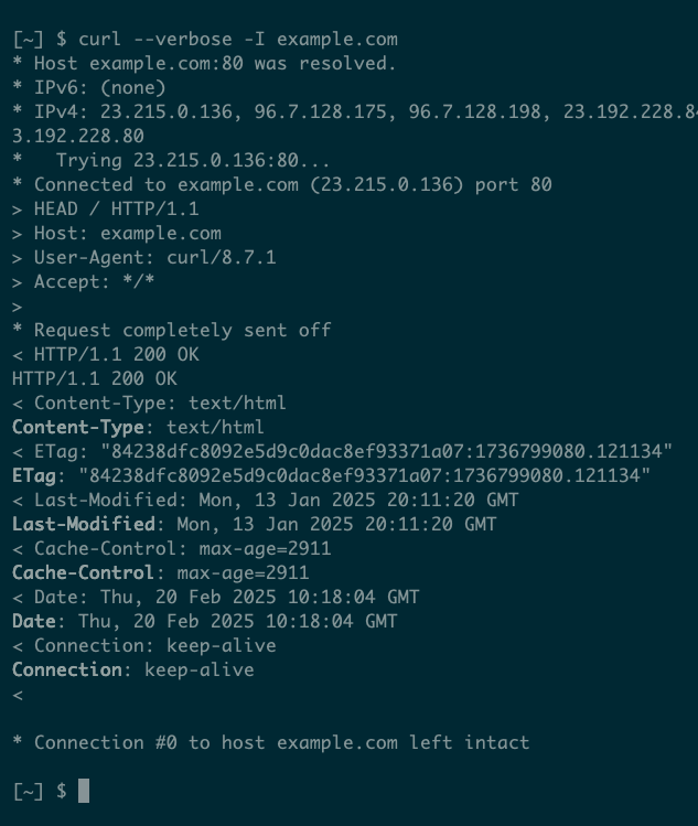 Output from curl with the --verbose and -I options to show both response and request headers.