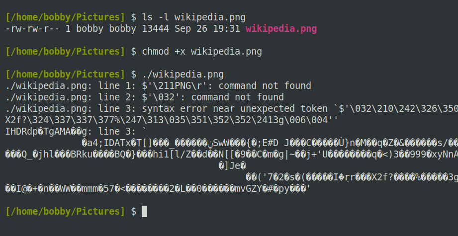 A Linux terminal showing unusual characters and error messages when trying to execute an image file.