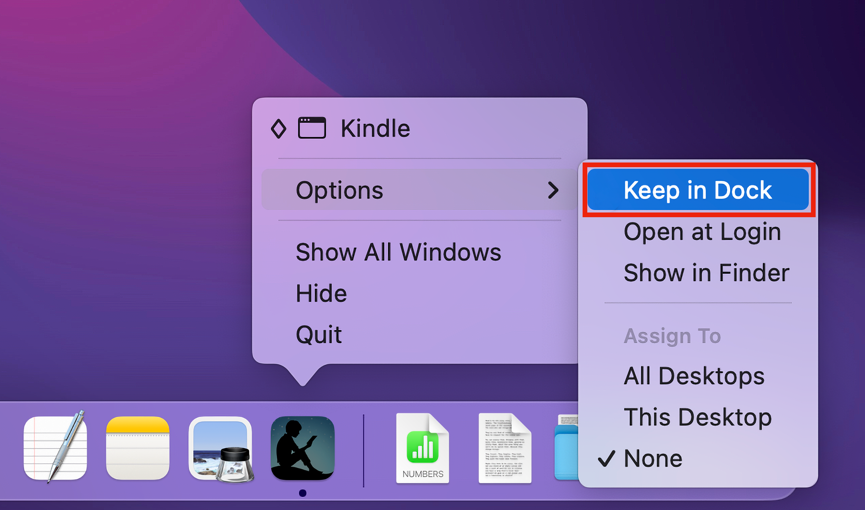 The Keep in Dock option on macOS.