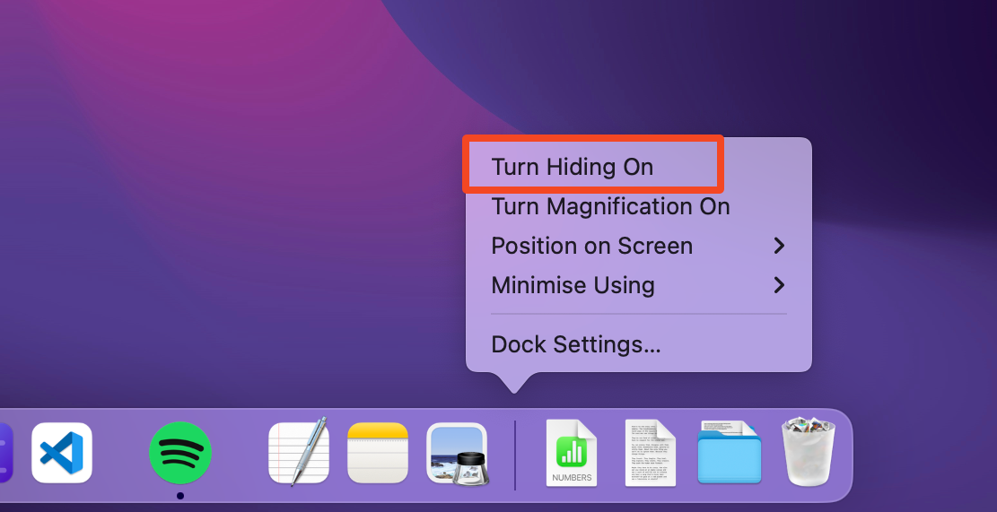 The setting to hide the Dock in macOS.