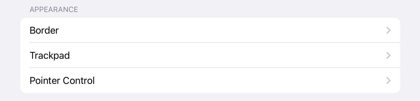 Virtual Trackpad's appearance options in the iPadOS Settings app.