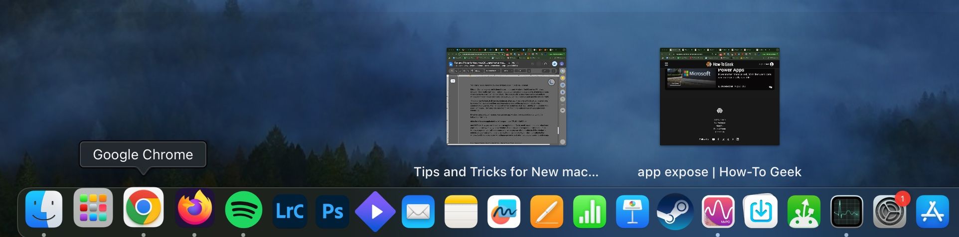 Window thumbnail previews in macOS.