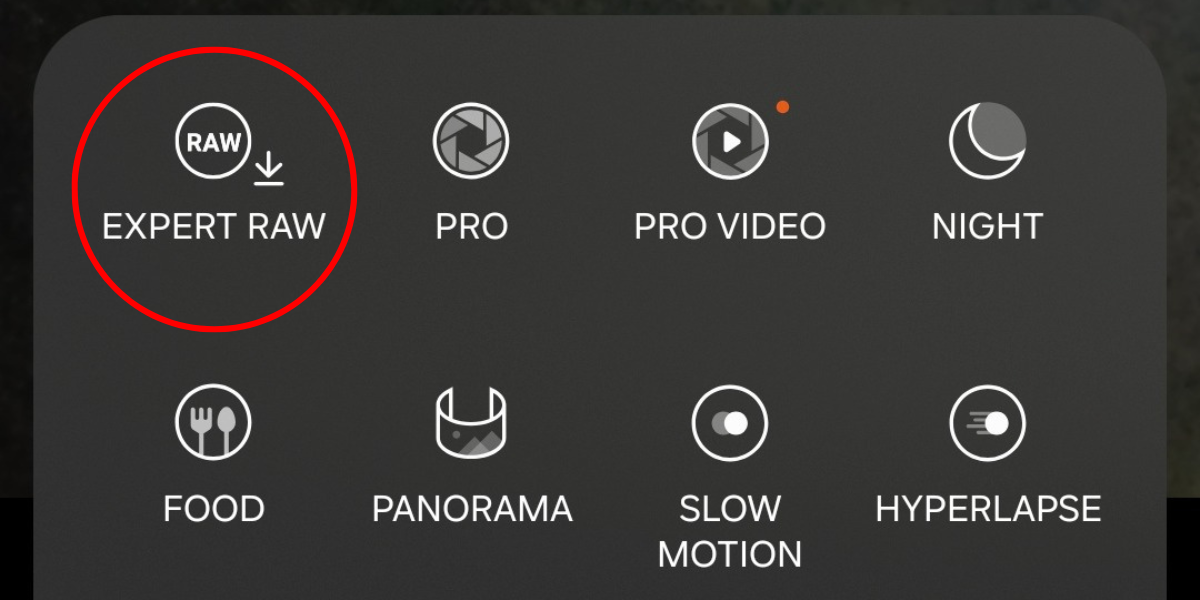 Screenshot of the Expert RAW button in the More Camera menu on the Galaxy S25.