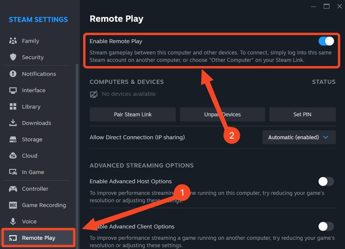 Steam remote Play options tab.