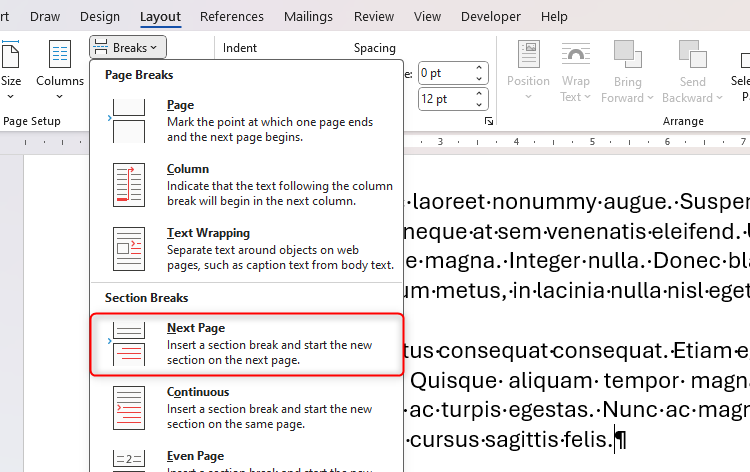 Next Page is selected in Microsoft Word's Breaks drop-down menu of the Layout tab.