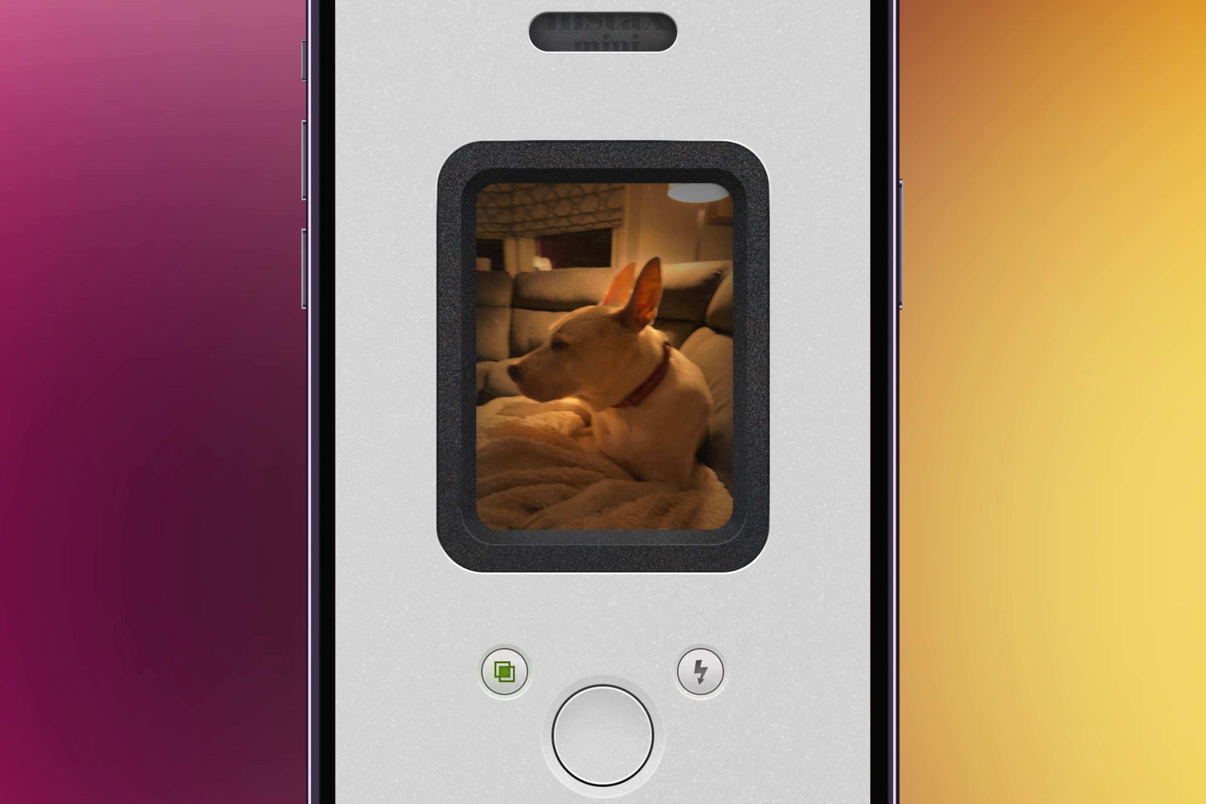 NOMO Cam app with a picture of a dog showcased on an iPhone in front of a colorful background.