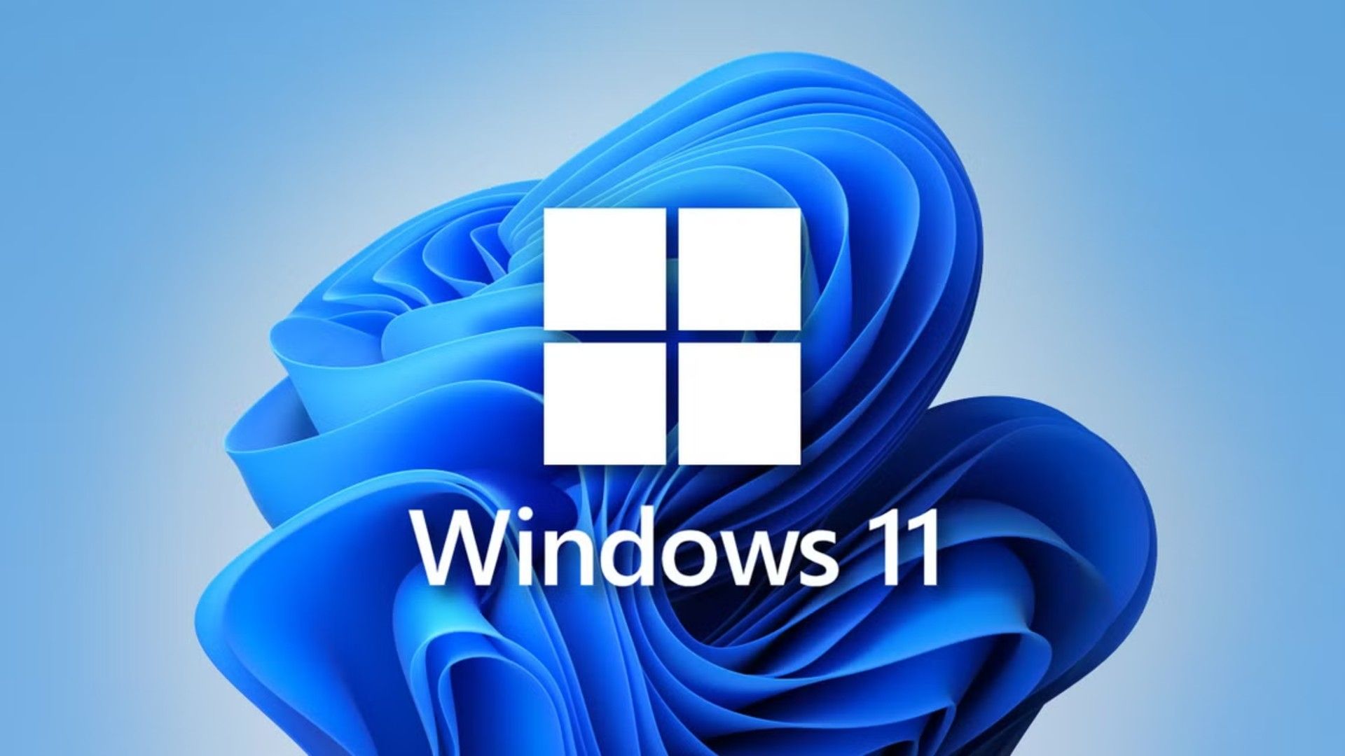 windows 11 logo in front of blue waves. Windows 11 Logo with Wallpaper